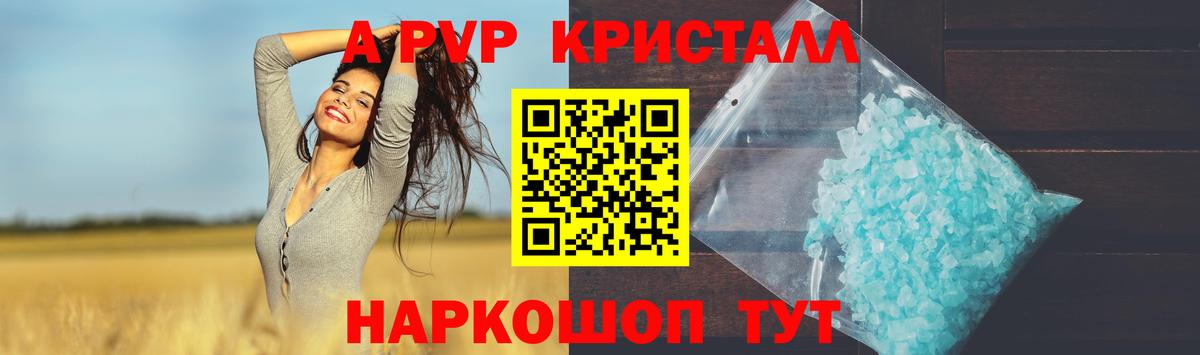 Альфа ПВП СК Кизилюрт