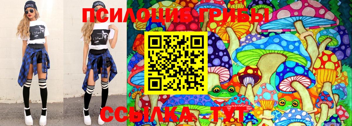 Галлюциногенные грибы GOLDEN TEACHER Кизилюрт