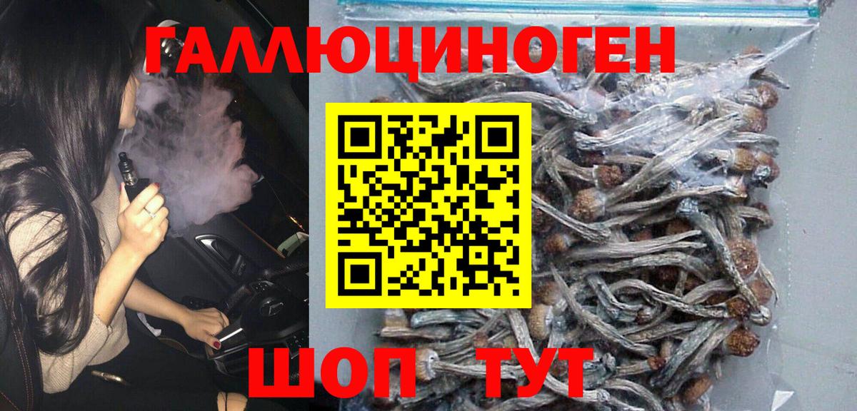 Галлюциногенные грибы Psilocybine cubensis  Вход с VPN  Псилоцибиновые грибы Magic Shrooms  Кизилюрт 